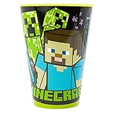 WIEDERVERWENDBARER KINDERBECHER AUS BPA-FREIEM KUNSTSTOFF 430 ML | MINECRAFT